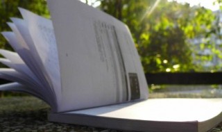 寻胡隐君古诗 寻胡隐君古诗带拼音版