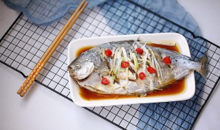 文昌鱼的功效与食用方法