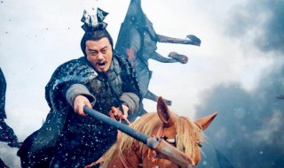 秦灭楚之战项燕有多少兵力（项燕打败秦国）