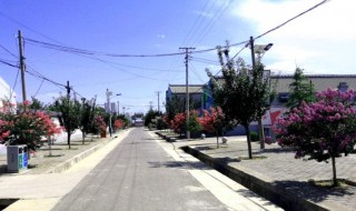 隆坊是哪里 隆坊镇属于哪里