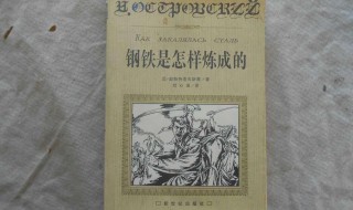 钢铁是怎样炼成的介绍（钢铁是怎样炼成的介绍词120字）