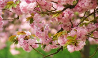 夏天几月份（夏天几月份最热）