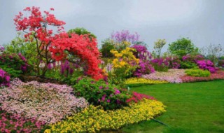 环保广告标语（有创意的环保口号）