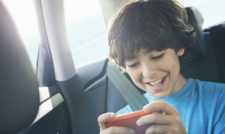 我的世界木头英文名（我的世界木板英文名）