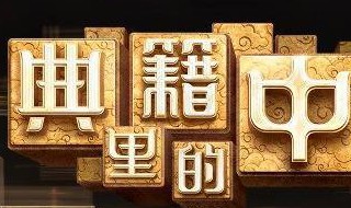 典籍里的中国适合小学生看吗（典籍里的中国 小学生）