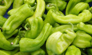 青椒的功效与作用（青椒的功效与禁忌）