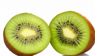猕猴桃不能跟什么一起吃（猕猴桃应该怎么吃）