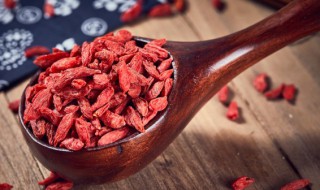 枸杞叶什么人不能吃（枸杞子叶子那些人不适宜吃）