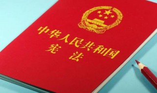 什么是宪法手抄报内容（宪法手抄报简单漂亮）