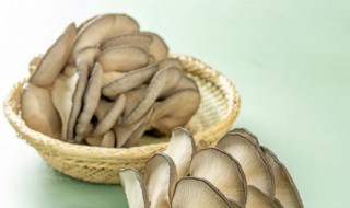 平蘑菇怎么做好吃 平蘑菇的做法大全