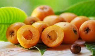 怎么样挑选枇杷(挑选枇杷的小技巧)