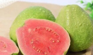 芭乐怎么吃好(芭乐怎么吃好吃)