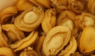 家庭干鲍鱼怎么快速泡发（干鲍鱼如何泡发及制作）