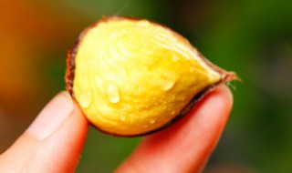 什么人不能吃板栗(什么样人不能吃板栗)