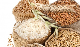 高粱米什么人不能吃（高粱米是热性还是凉性）