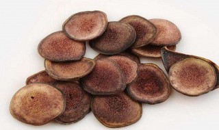 鹿茸怎么吃最有营养食用方法介绍（鹿茸怎么吃最有营养食用方法介绍视频）