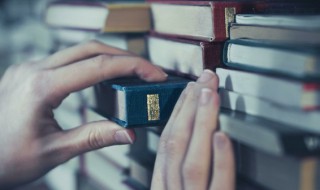 韵字五行属什么 歆字五行属什么和意义取名