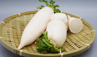 萝卜怎么烧好吃 红烧萝卜怎么烧好吃