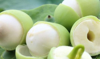 新鲜莲子怎么吃好（新鲜莲子怎么吃好营养高）
