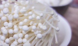 春养肝吃什么好 春养肝 吃什么