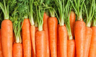 肚子不舒服吃什么食物 小朋友肚子不舒服吃什么食物