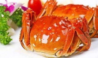 怎么煮螃蟹好吃又简单 怎么样蒸螃蟹好吃