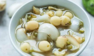 干莲子的吃法技巧(干莲子怎么吃法大全)