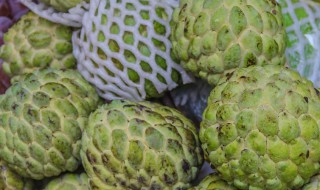 释迦的吃法技巧 释迦吃法怎么吃