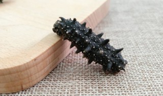 干海参吃法技巧 干海参吃法技巧图解