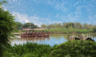 广州湿地公园景点介绍 广州湿地公园景点介绍图片