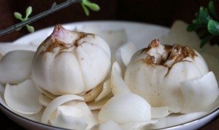 鲜百合的吃法技巧（鲜百合怎么吃最有营养）