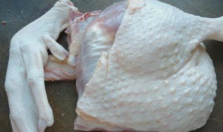 怎么样挑选鸭肉 怎样挑选好吃的鸭子