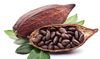 可可的功效与作用（可可粉的功效与作用）