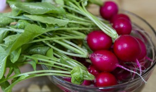 萝卜缨子的功效与作用 萝卜缨子怎么做好吃