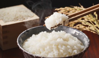 酱油馊肉炒饭的做法 肉沫酱油炒饭