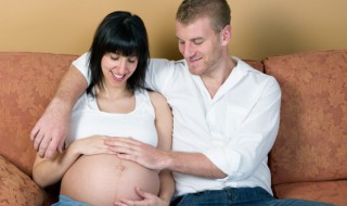 伉俪的意思（丹青伉俪的意思）