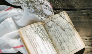 荼的组词（荼的组词是什么）