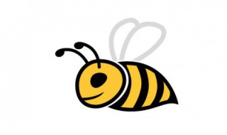 怎样辨认中蜂还是意蜂（中蜂与意蜂对照图片）