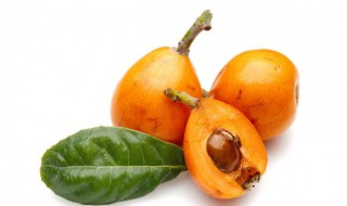 怎样挑选枇杷（怎样挑选枇杷果）