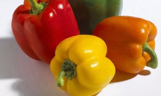 柿子椒怎么挑选（柿子椒怎么挑选好吃）