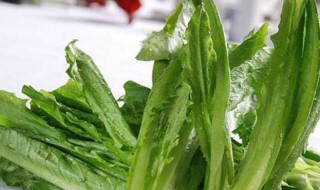 油麦菜长大是不是莴笋（医生为为什么建议不吃油麦菜）