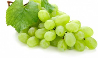 提子是热性还是凉性 提子的功效与作用