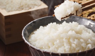 蒸米饭放多少水啊（蒸米饭放多少水比较合适）