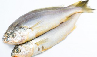 带鱼外面的白膜需要刮掉么 带鱼外面的白膜需要刮掉么图片