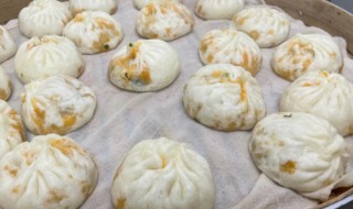牛肉大包子的做法大全 牛肉大包子的做法大全窍门