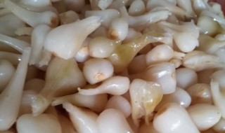 腌荞头的做法大全 腌荞头的做法大全窍门