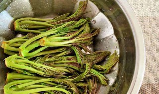 腌香椿需不需要焯水 腌香椿需不需要焯水再腌