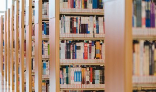 美颌龙怎么读（副栉龙读音）