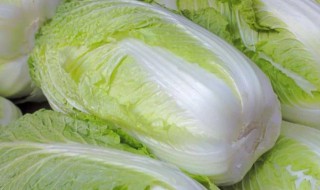娃娃菜和大白菜的区别(娃娃菜为什么不建议吃)