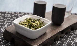 什么人不可以喝白桦茸(什么人不能喝白桦茸)